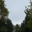 쉼터사슴농장 이미지