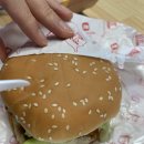 롯데리아태백점 이미지