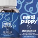 퍼피퍼피 이미지