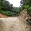 평촌동-2 이미지