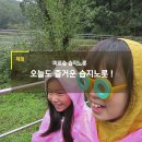 학성초등학교길 이미지