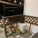 12th forest 이미지