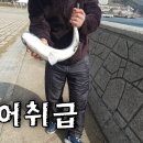 전노캠#39 고래만한 숭어도 잡어 취급하는 전어명당 이미지