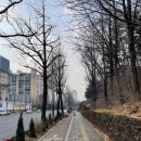 1월12일 기록 (타그리소 복용 +140)
