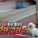 동원건강원 - 연천군 연천로252번길 9-15 | 동원건강원