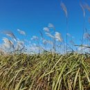 사비 그리고 달 이미지