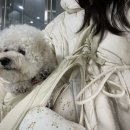 포레스트 명례 이미지