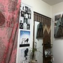 펫사이드코리아(PETSIDEKOREA) | 내 가을 어디감?