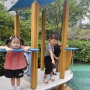 🎉9월1주 실외놀이(색깔돋보기)🎉 이미지