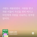북로망스