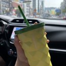 [W.12]부산 마이퍼스트레이디&amp;해밀스튜디오 웨딩촬영 후기