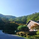 국립 백운산 자연휴양림 이미지
