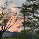 페이레네 대여복 셀렉(3벌), 스튜디오 촬영준비, 신랑 꿀팁