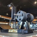 비바휘트니스 이미지