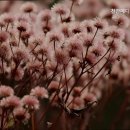 천안메디케어 | 천안요양원 천안메디케어요양원 사랑과 섬김의 요양원