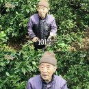 백년백세 이미지