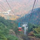 금오산로2-1 이미지