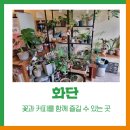 화단플라워카페