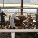 우리가축병원 이미지