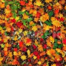 조치원읍생활문화센터 이미지