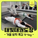 태빛태권도장 이미지