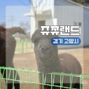 타조사육장 | 경기 고양시 일산 동물원 추천 아이랑 가볼만한 곳ㅣ쥬쥬랜드