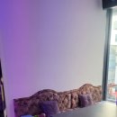 코끼리노래연습장 이미지