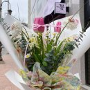 꽃쑤니 | 여주꽃집 오학동꽃집 딘플라워 :: 사장님이 너무 친절하셨던 곳 + 미니 꽃다발 후기