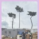 서천 상사
