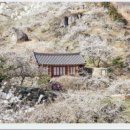 마을슈퍼 이미지