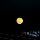 호남AI센터 | 2026 달라진 야구 규칙과 nc 파크 안내 및 경기 관람 후기