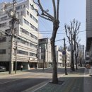 다옴공인중개사사무소 네이버블로그