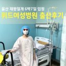 위드여성병원 | 울산 위드여성병원 제왕절개 6박7일 출산 후기 (당일 입원·1인실·준비물 팁)