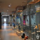 영월동굴생태관 이미지