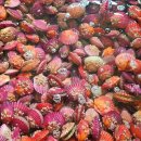 은수네농장 이미지