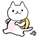 금화부동산중개 이미지