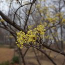 비아농협주유소 이미지