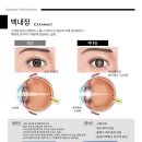 만성원광한의원 이미지