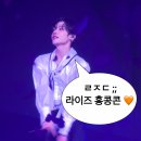 라이즈랑 홍콩 3박 4일 | 라이즈 홍콩콘 sm 글로벌 패키지 후기 | 꿀팁 푼다