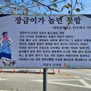 산내 종합체육센터 이미지