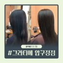 압구정 24시 미용실 그라티에 | 탈색없는 블랙빼기 5-7회차 내돈내산 후기
