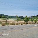 시도리운동장 이미지