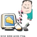 최신형헤어뉴스