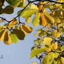 임페리얼여관 이미지