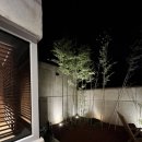 스테이 봄 이미지