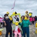 전국노래자랑 이미지