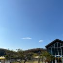 오독오독 반려견유치원 네이버블로그