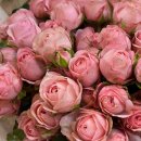 우리꽃집&카페 이미지