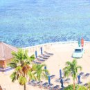 블루스팟 이미지