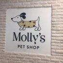 이마트 광명소하점 몰리스펫샵 이미지